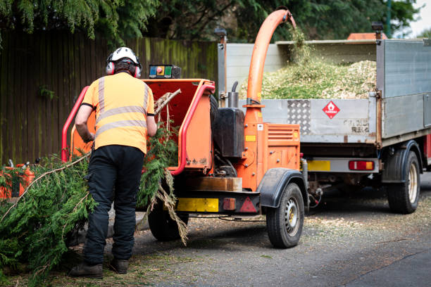 Best Emergency Tree Service  in Villa Hills, KY